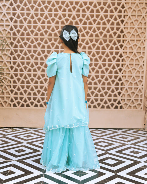 Pre Order : Aqua Embroidered Organza Kurti Sharara