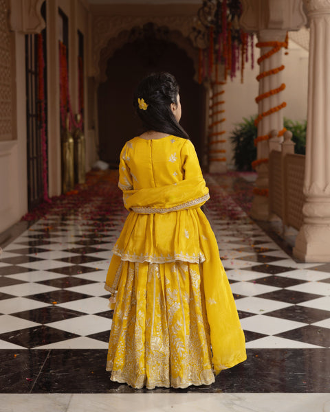 Pre Order : Yellow Embroidered Kurti Lehenga Set