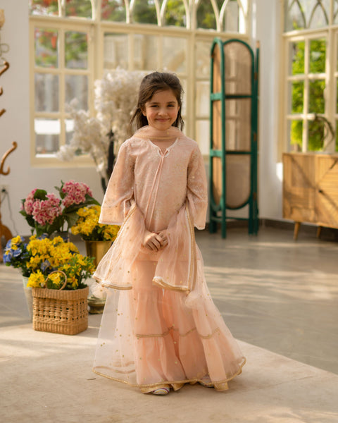 Pre Order : Peach Embroidered Kurti Sharara