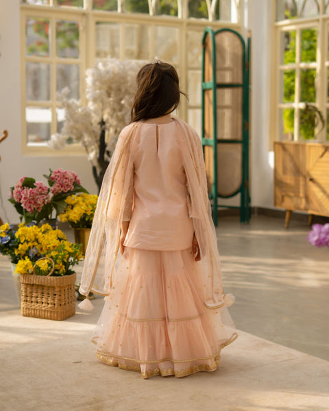 Pre Order : Peach Embroidered Kurti Sharara