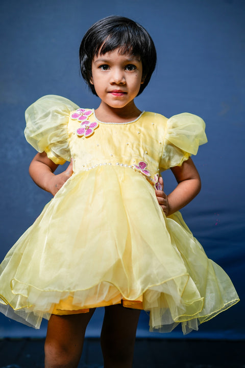 Pre-Order: Yellow Flower Embroidered Dress