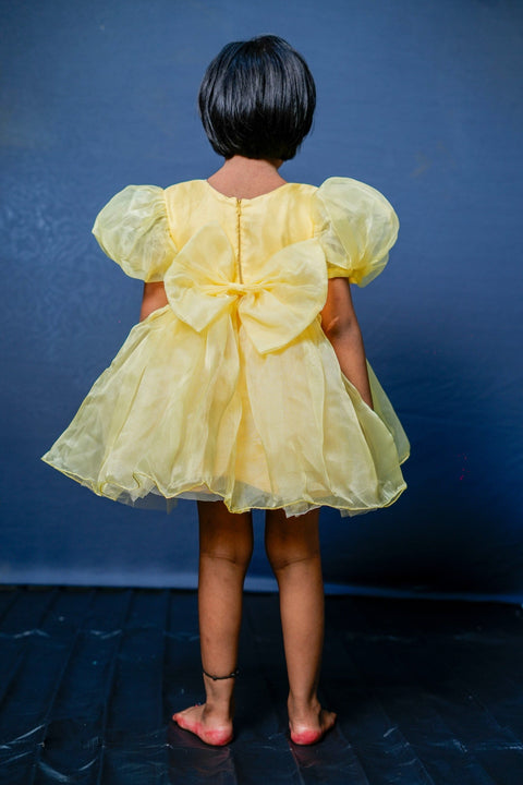 Pre-Order: Yellow Flower Embroidered Dress