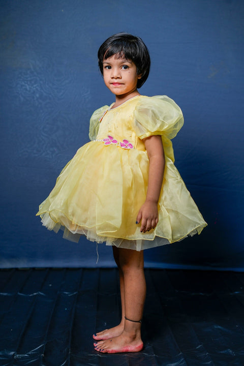 Pre-Order: Yellow Flower Embroidered Dress