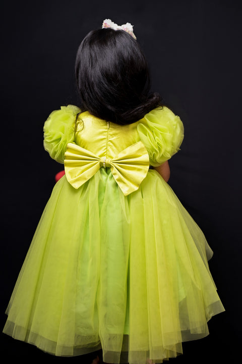 Pre-Order: Green Animal Kingdom Dress