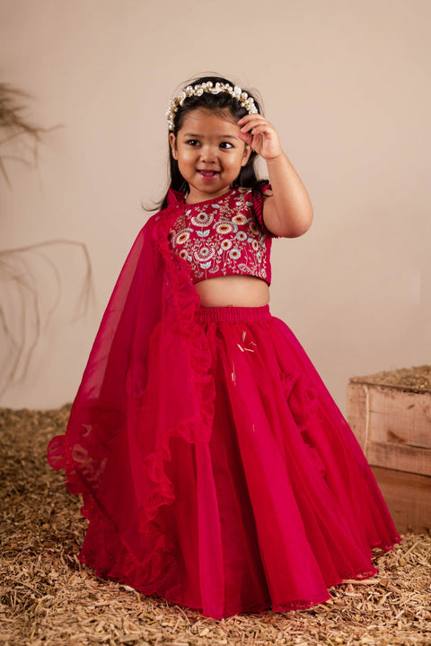 Pre-Order: Maroon Embroidered Ghagra