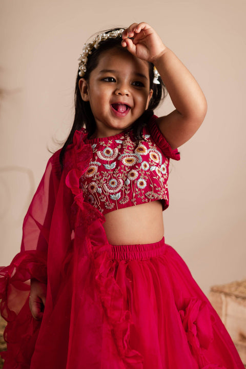 Pre-Order: Maroon Embroidered Ghagra