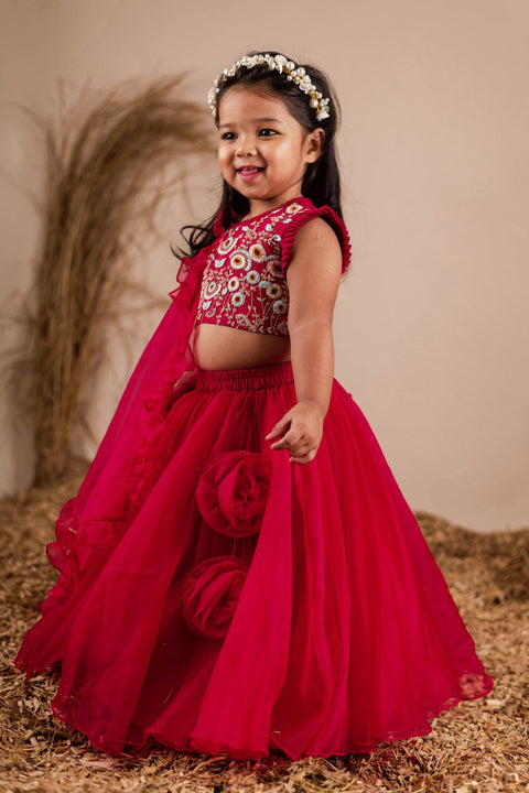 Pre-Order: Maroon Embroidered Ghagra