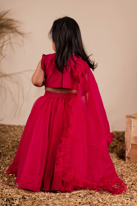 Pre-Order: Maroon Embroidered Ghagra