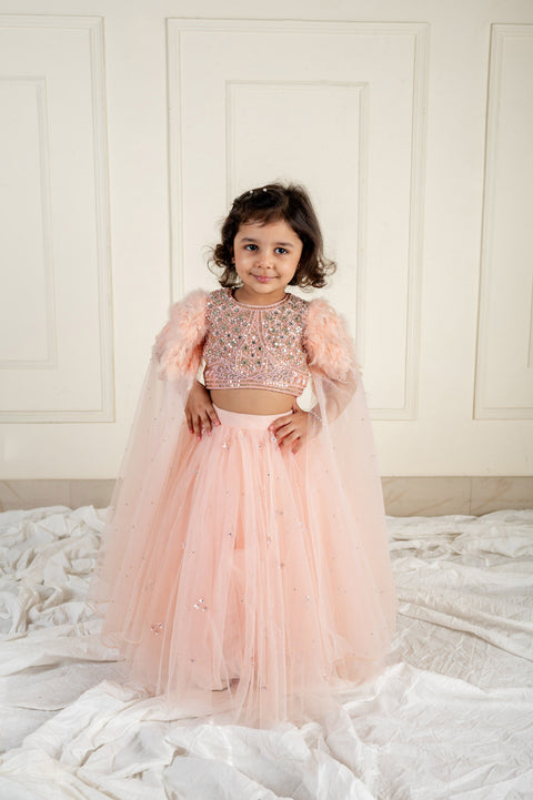 Pre-Order: Peach Stone Feather Ghaghra