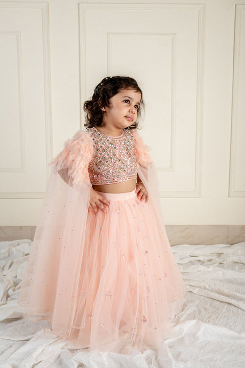 Pre-Order: Peach Stone Feather Ghaghra