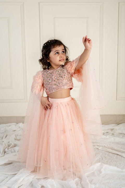 Pre-Order: Peach Stone Feather Ghaghra