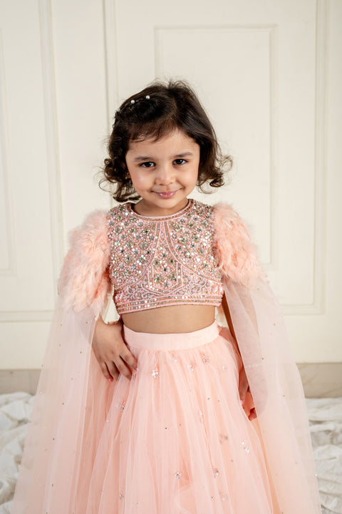 Pre-Order: Peach Stone Feather Ghaghra