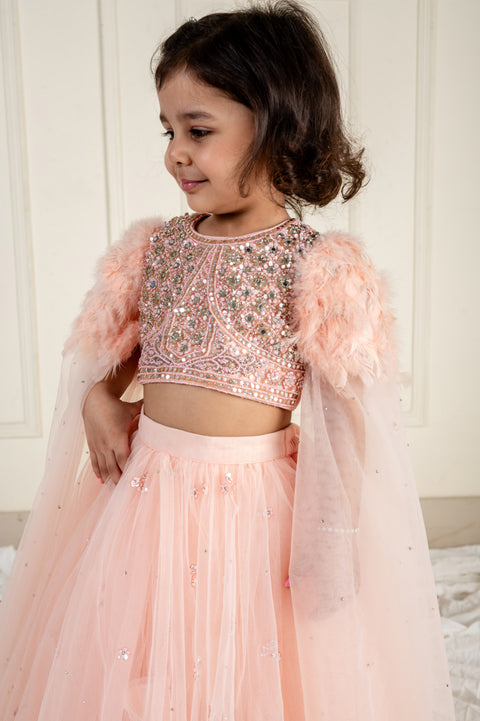 Pre-Order: Peach Stone Feather Ghaghra