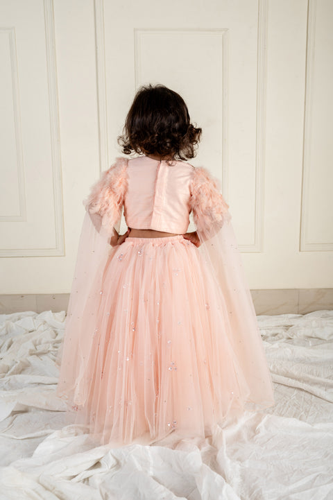 Pre-Order: Peach Stone Feather Ghaghra