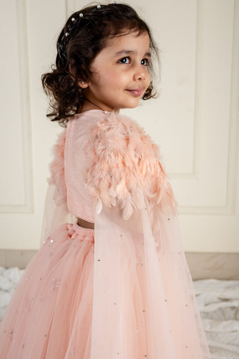 Pre-Order: Peach Stone Feather Ghaghra