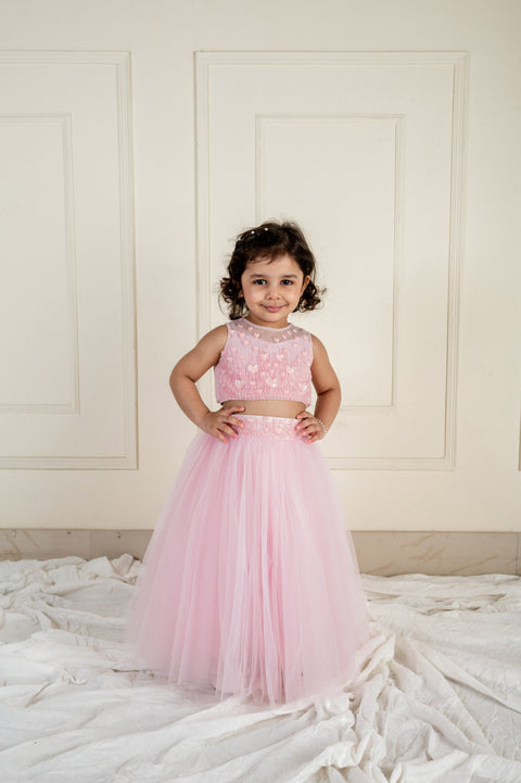 Pre-Order: Peach Stone Feather Ghaghra