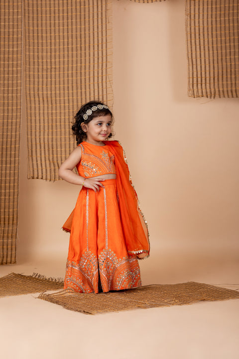 Pre-Order: Orange Embroidered Ghaghra
