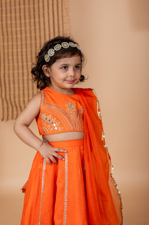 Pre-Order: Orange Embroidered Ghaghra