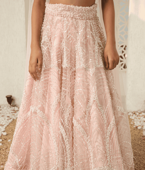 Pre-Order: Peach Cut Dana work Choli with Lehenga