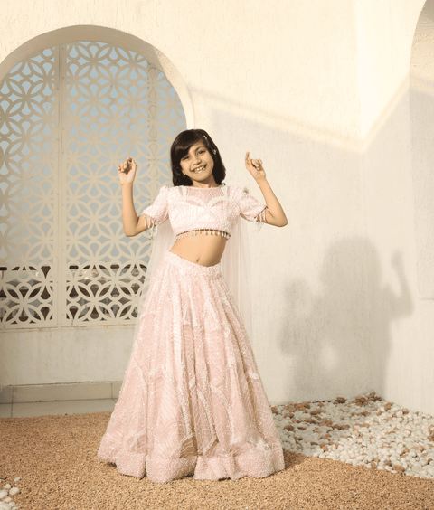 Pre-Order: Peach Cut Dana work Choli with Lehenga