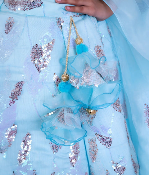 Pre-Order: Blue Sequence Embroidery Lehenga Set