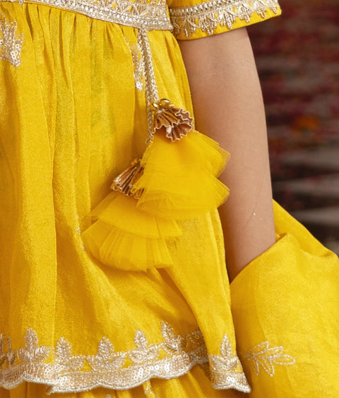 Pre Order : Yellow Embroidered Kurti Lehenga Set