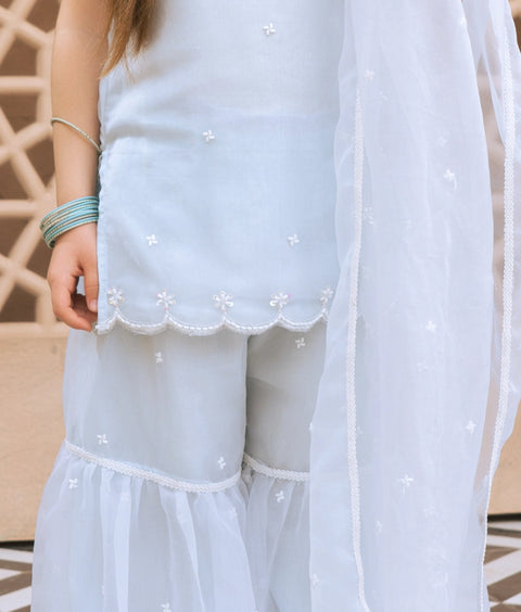 Pre Order : Sky Blue Embroidered Organza Kurti Sharara