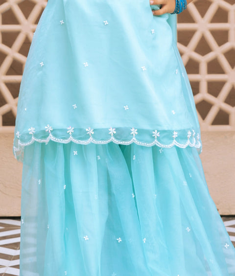 Pre Order : Aqua Embroidered Organza Kurti Sharara
