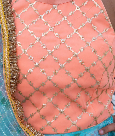 Pre-Order: Peach Embroidered Choli withPrinted Organza Lehenga Set