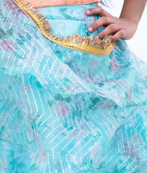 Pre-Order: Peach Embroidered Choli withPrinted Organza Lehenga Set