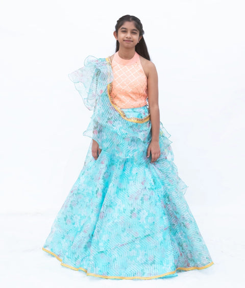 Pre-Order: Peach Embroidered Choli withPrinted Organza Lehenga Set