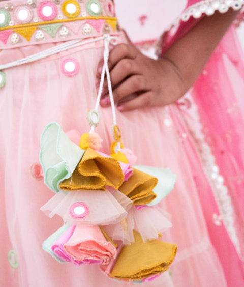 Pre-Order: Pink Mirror Embroidered Choli with Lehenga