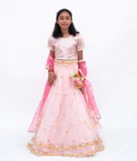 Pre-Order: Pink Mirror Embroidered Choli with Lehenga