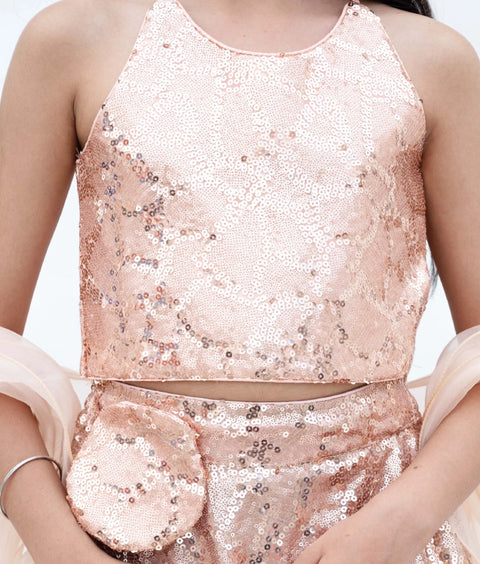 Pre-Order: Peach Sequins Embroidery Lehenga Choli Set