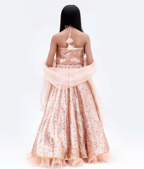 Pre-Order: Peach Sequins Embroidery Lehenga Choli Set