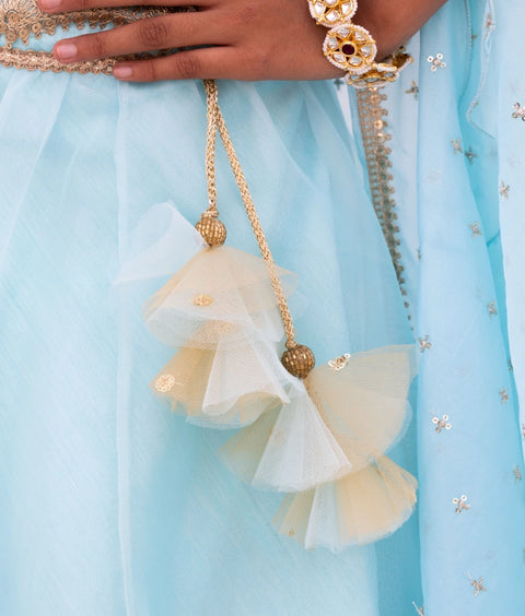 Pre-Order: Blue Embroidered Choli with Lehenga and Cape