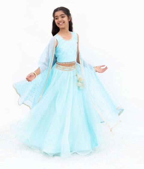 Pre-Order: Blue Embroidered Choli with Lehenga and Cape
