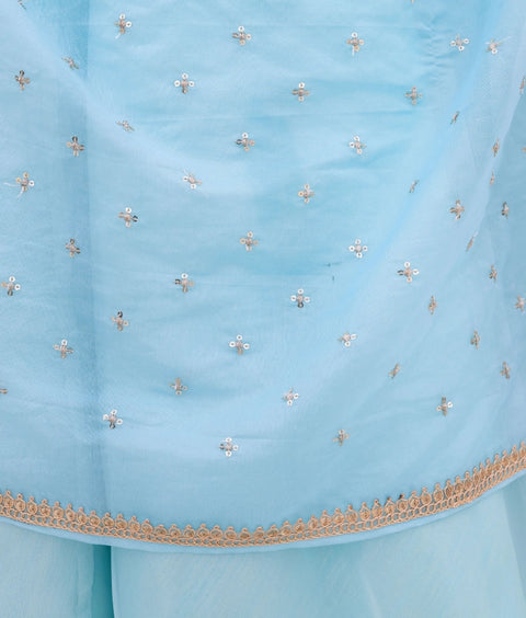 Pre-Order: Blue Embroidered Choli with Lehenga and Cape