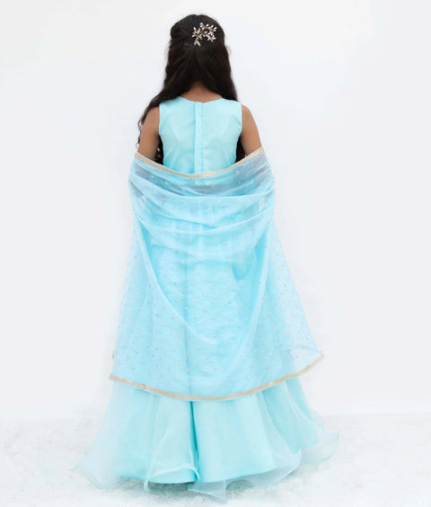Pre-Order: Blue Embroidered Choli with Lehenga and Cape