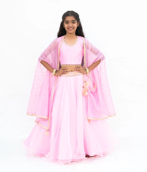 Pre-Order: Pink Embroidered Choli with Lehenga and Cape