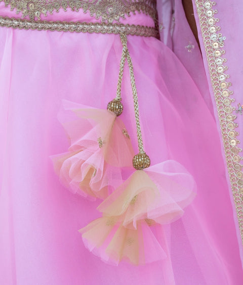 Pre-Order: Pink Embroidered Choli with Lehenga and Cape