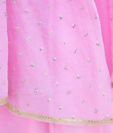 Pre-Order: Pink Embroidered Choli with Lehenga and Cape