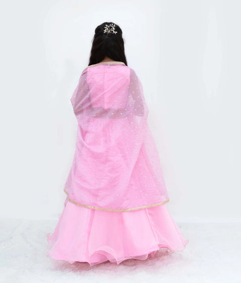 Pre-Order: Pink Embroidered Choli with Lehenga and Cape