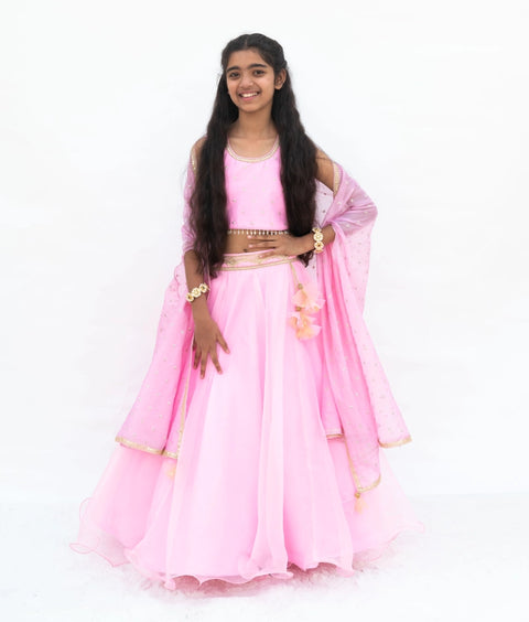 Pre-Order: Pink Embroidered Choli with Lehenga and Cape