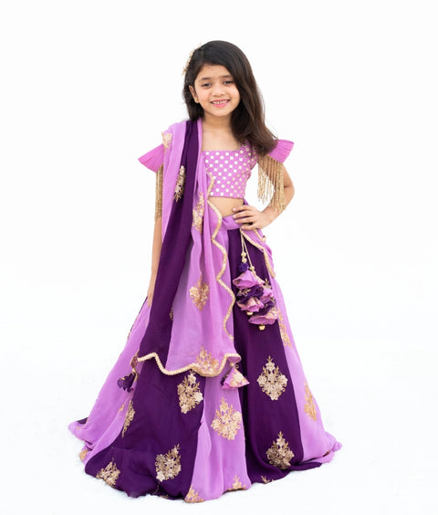Pre-Order: Lilac & Purple Embroidered Lehenga Set