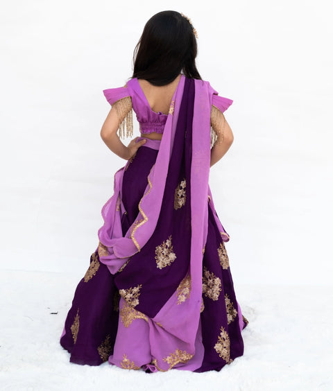 Pre-Order: Lilac & Purple Embroidered Lehenga Set