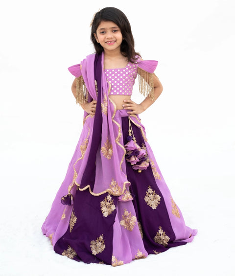 Pre-Order: Lilac & Purple Embroidered Lehenga Set