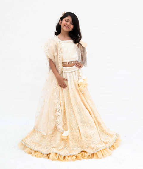 Pre-Order: Beige Ombre Lehenga Choli Set