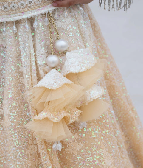 Pre-Order: Beige Ombre Lehenga Choli Set