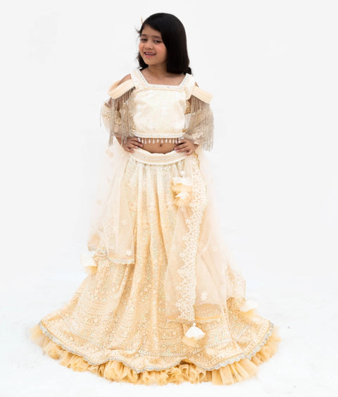 Pre-Order: Beige Ombre Lehenga Choli Set